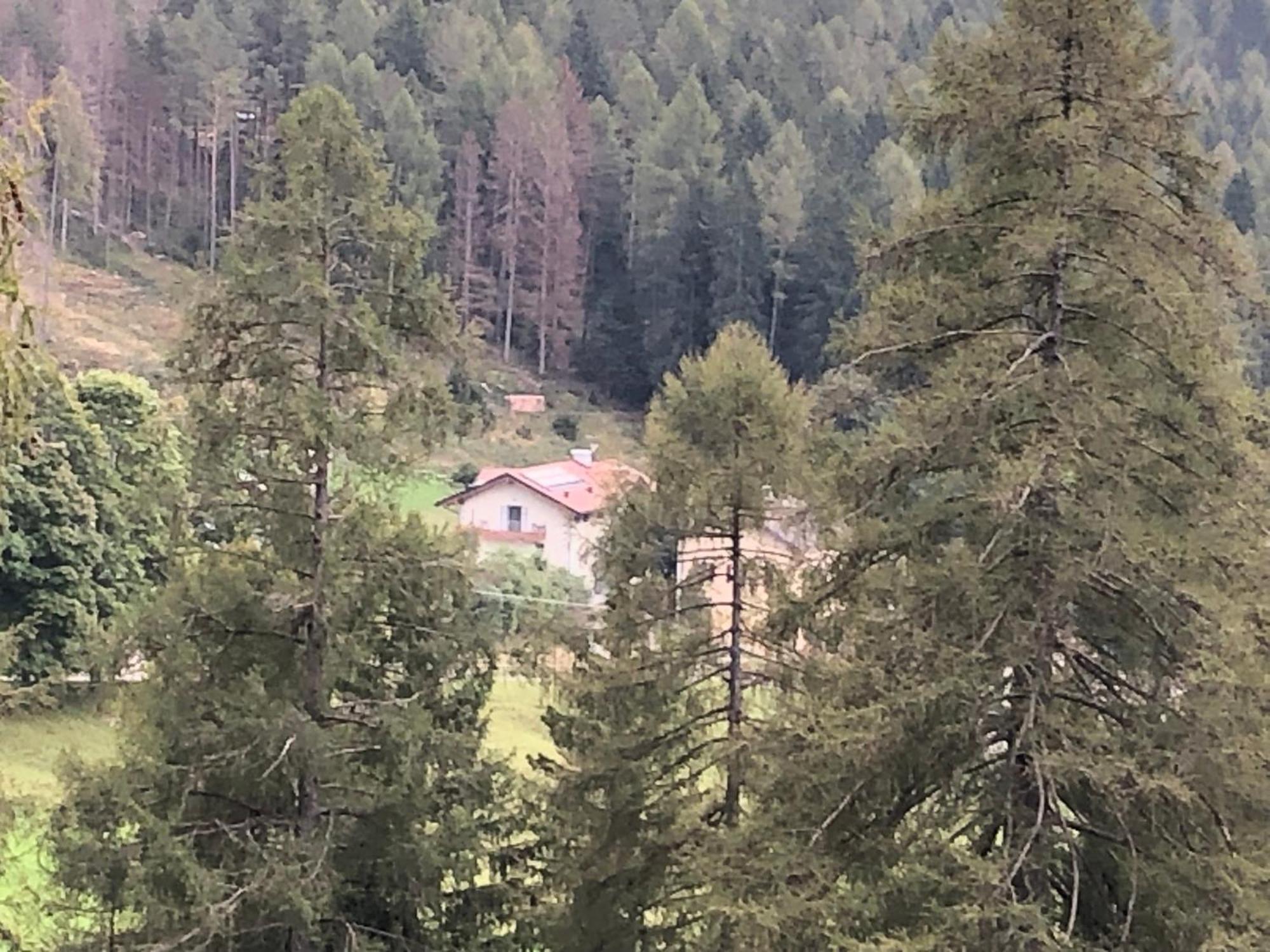 B&B Le Stagioni Di Stava Tesero Exterior foto